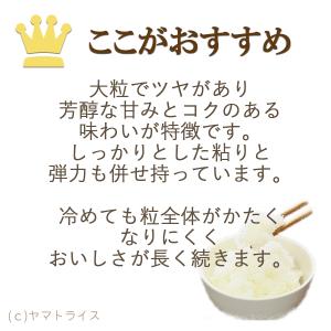 新之助 10kg 5kg×2 お米 米 白米 ...の詳細画像5