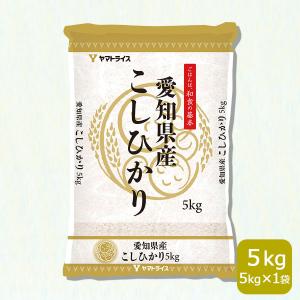 ヤマトライス 愛知県産 コシヒカリ 10kg お米 米 5kg×2 白米 令和7年産