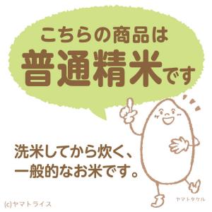 米 お米 ななつぼし 5kg 北海道産 白米 ...の詳細画像4
