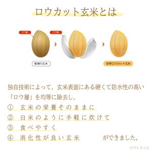 金芽ロウカット玄米 8kg (2kg×4) お...の詳細画像1