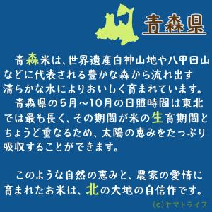 【特別価格】米 お米 10kg まっしぐら 青...の詳細画像3