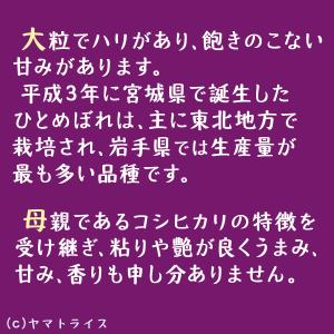 米 お米 ひとめぼれ 10kg 無洗米 岩手県...の詳細画像3