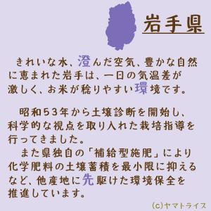 米 お米 ひとめぼれ 10kg 無洗米 岩手県...の詳細画像4