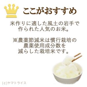 米 お米 ひとめぼれ 10kg 無洗米 岩手県...の詳細画像5
