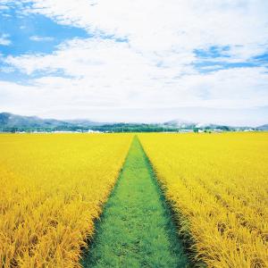 【1000円OFFクーポン&店内全品P3倍】な...の詳細画像5