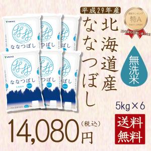 米 30kg 無洗米 お米 5kg×6袋 ななつぼし 北海道産 うるち米 ごはん