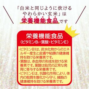 玄米 コシヒカリ 白米と同じように炊けるやわら...の詳細画像1