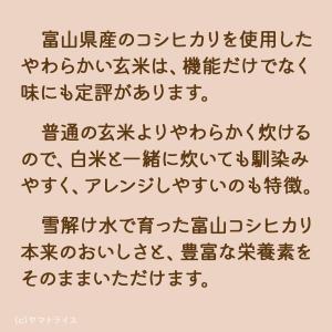 玄米 コシヒカリ 白米と同じように炊けるやわら...の詳細画像3