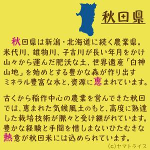 米 お米 5kg サキホコレ 秋田県産 白米 ...の詳細画像3