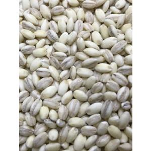 【送料無料】オーガニックもち麦 800g ×1...の詳細画像1