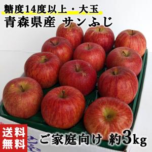 青森県産 サンふじ りんご 大玉 糖度14度以上 訳あり 家庭用 3kg