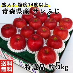 【残りわずか！最終12/31発送】御歳暮 ギフト 青森県産  蜜入り サンふじ りんご 特選品 約5kg 糖度14度以上
