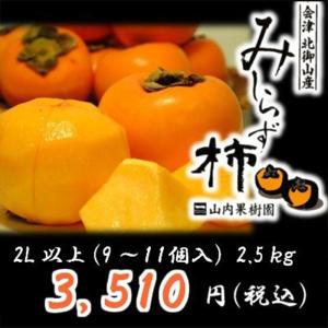 会津みしらず柿2L以上（9〜11個入り）2.5kg