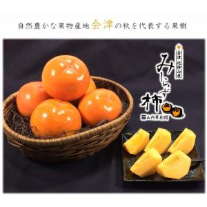 会津みしらず柿2L以上(9〜11個入り)2.5kgの詳細画像1