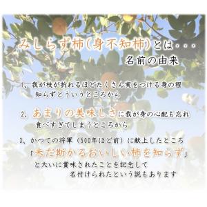 会津みしらず柿2L以上(9〜11個入り)2.5kgの詳細画像2