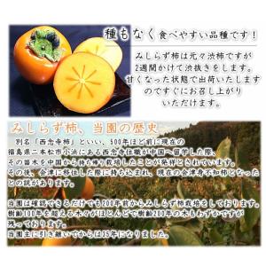 会津みしらず柿2L以上(9〜11個入り)2.5kgの詳細画像3