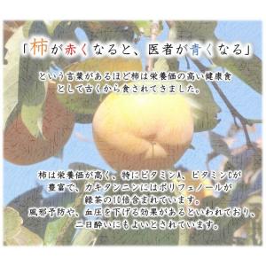 会津みしらず柿2L以上(9〜11個入り)2.5kgの詳細画像5