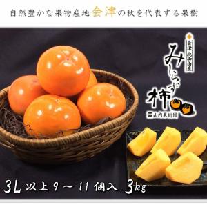 会津みしらず柿 3L以上（9〜11個入り）3kg福島県会津若松市北御山産