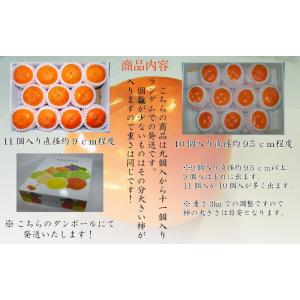 会津みしらず柿 3L以上(9〜11個入り)3k...の詳細画像1