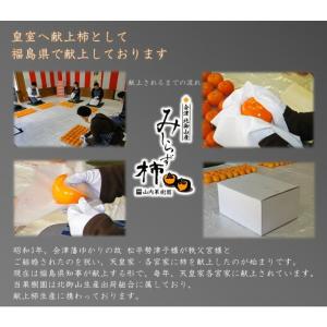 会津みしらず柿 3L以上(9〜11個入り)3k...の詳細画像5
