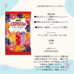 リボン 果汁100% スティックゼリー 15本...の詳細画像2