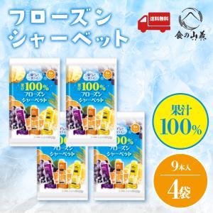 RIBBON リボン 果汁100％フローズンシャーベット 9本×16入 (デザート