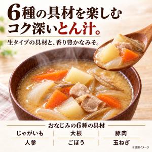 訳あり 神州一味噌 豚汁 10袋セット 個包装...の詳細画像1