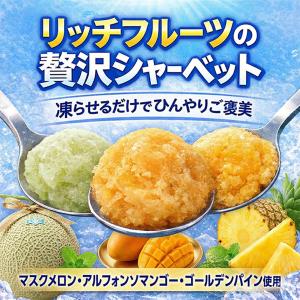 15個 凍らせて食べる リッチフルーツシャーベ...の詳細画像2