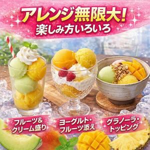 15個 凍らせて食べる リッチフルーツシャーベ...の詳細画像4