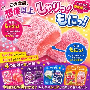 ブルボン しゃりもにグミ 4種アソート 8袋セ...の詳細画像3