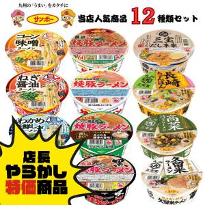 日清食品 カップ麺 詰め合わせ カップラーメン 12種 箱買い ミニ