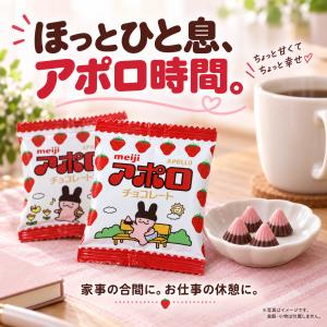 アポロ 小分けパック 30袋セット 明治 チョ...の詳細画像4