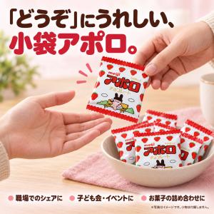 アポロ 小分けパック 30袋セット 明治 チョ...の詳細画像5