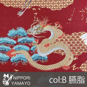 和柄 生地 綿 和調細布プリント1950 #2...の詳細画像2
