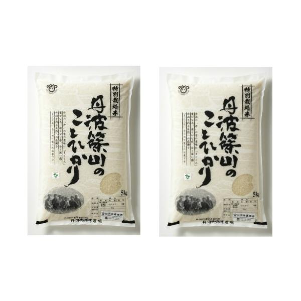 米 10kg お米 令和5年度 こしひかり 丹波篠山 特別栽培米