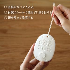 特典付 Arromic アラミック 米びつ先生...の詳細画像3