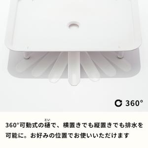 特典付 LIBERALISTA ディッシュドレ...の詳細画像4