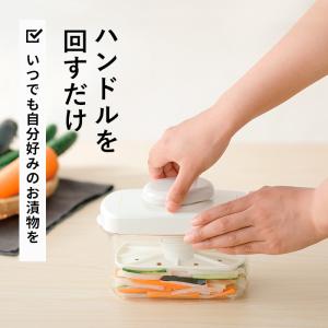 特典付 LIBERALISTA 浅漬けメーカー...の詳細画像3