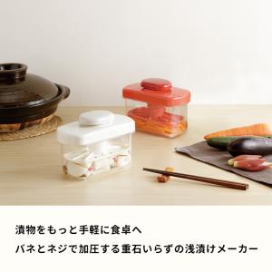 特典付 LIBERALISTA 浅漬けメーカー...の詳細画像4