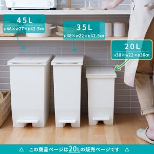 特典付 SOLOW ソロウ ペダルオープンツイ...の詳細画像2