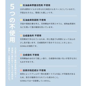 特典付 そまり ボディ用液体石けん 詰替用 1...の詳細画像2