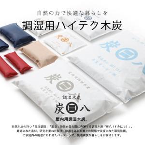 特典付 炭八 8L 選べる トライアルセット ...の詳細画像1