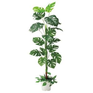 人工観葉植物　モンステラ 立ち木 （H165cm）　1台　人工樹木｜yamazaki-eshop