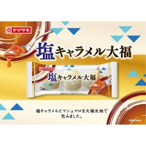 塩キャラメル大福(3個入) 12個セット 3個...の詳細画像2