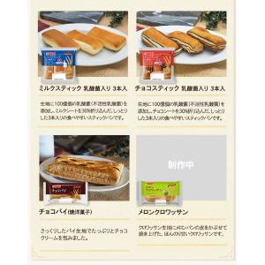 パン テイスティロング 詰合せ 14種 セット...の詳細画像5