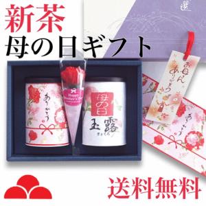 お茶 母の日 ギフト 八女 新茶 煎茶 玉露ティーバッグ H...