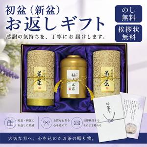 Sutte 携帯用小型水素吸入器 専用カートリッジ取替セット 水素吸引