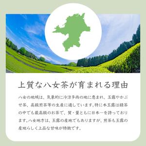 水出し 緑茶 玉露 八女茶 お茶 冷茶 無添加...の詳細画像5