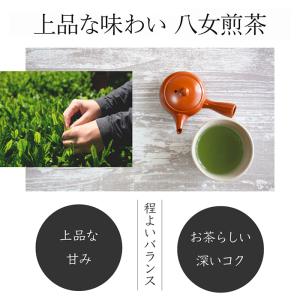 2026新茶 八女茶 お茶 日本茶 茶葉 10...の詳細画像4