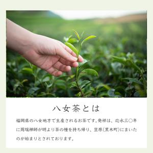 ほうじ茶 ティーバッグ お茶 八女茶 急須用 ...の詳細画像4